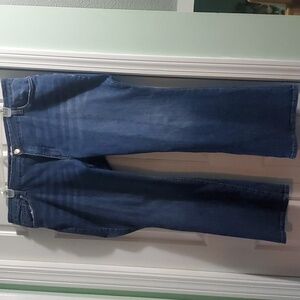 sts blue size 22 women's jeans.